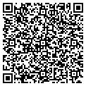 QR code with Vigs Ice Cream contacts