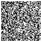 QR code with Pull-A-Part contacts