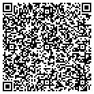 QR code with Pull-A-Part contacts