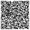 QR code with Creative Ice Concepts contacts