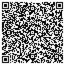 QR code with Clt Development LLC contacts