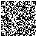 QR code with M Cafe contacts
