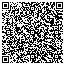 QR code with Pyramid Cafe contacts