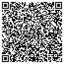 QR code with Blue Willow Cafe Inc contacts
