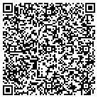 QR code with Pull-A-Part contacts