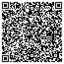QR code with Pure Ice Productions contacts