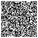 QR code with Purple Onion contacts