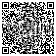 QR code with VIP Auto Group contacts
