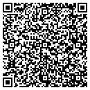 QR code with Citrine Development contacts