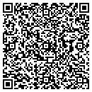 QR code with Ferguson Ice contacts