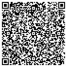 QR code with Pullouts Plus contacts