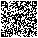 QR code with Shell contacts