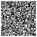 QR code with Purvis Gallery contacts