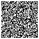 QR code with Pyo Gallery contacts