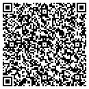 QR code with Protek Security Systems contacts