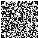 QR code with Chelsea Developer LLC contacts
