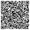 QR code with Vilart contacts