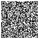 QR code with Premier Carpet Source contacts
