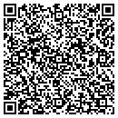 QR code with Precision Aggregate contacts