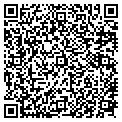QR code with C Store contacts