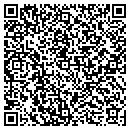 QR code with Caribbean Ice Dimmitt contacts