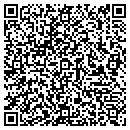 QR code with Cool Ice Express Inc contacts