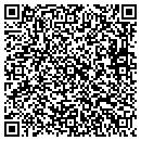 QR code with Pt Mini Mart contacts
