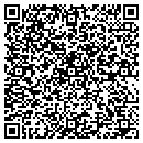 QR code with Colt Developers Inc contacts