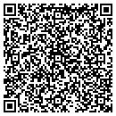 QR code with Blucher Painting contacts