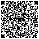 QR code with Spring Valley Ice L L C contacts