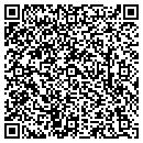QR code with Carlisle Downtown Cafe contacts