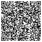 QR code with Punxsutawney Regional Dev contacts