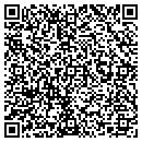 QR code with City Fence & Gardens contacts