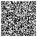 QR code with Pyro Gallery contacts