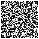 QR code with Psi Development LLC contacts