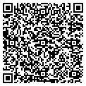 QR code with Mcfinys contacts