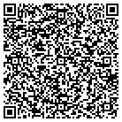 QR code with Professional Art Center contacts