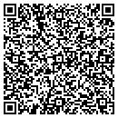 QR code with PulseStore contacts