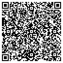 QR code with Blue Turtle Gallery contacts