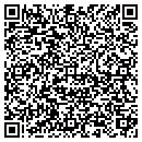 QR code with Process Sales LLC contacts