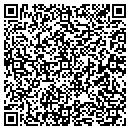 QR code with Prairie Automotive contacts