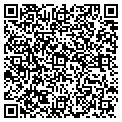 QR code with P M CO contacts