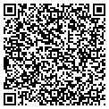QR code with IBEW contacts