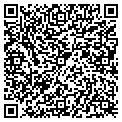 QR code with Synemed contacts