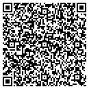 QR code with Psf Consultant contacts