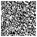 QR code with Puzzle Code Inc contacts