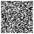 QR code with P2 Solutions contacts