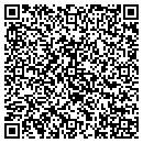 QR code with Premier Window Inc contacts