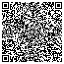 QR code with Cjs Convenient Store contacts