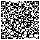 QR code with Carl Consulting Inc contacts
